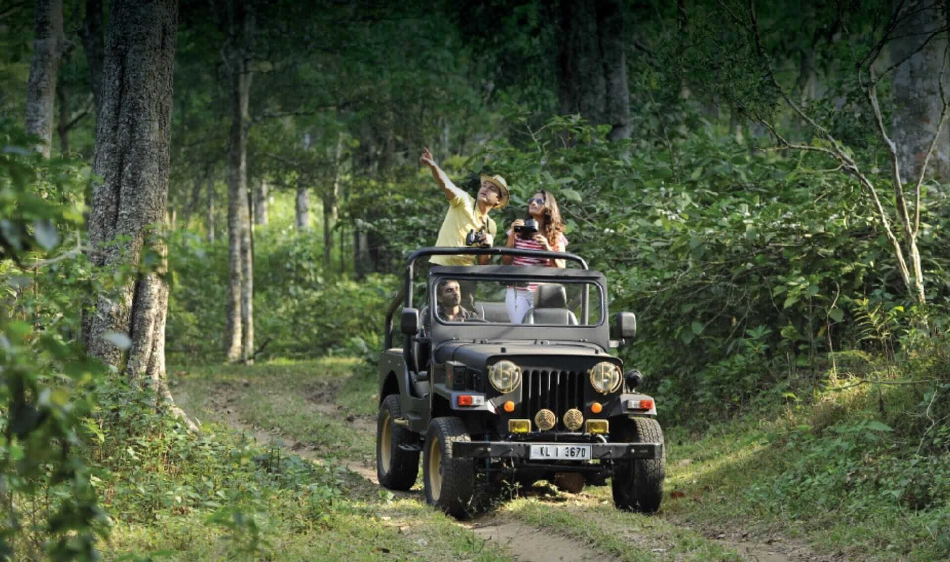 Jeep Safari