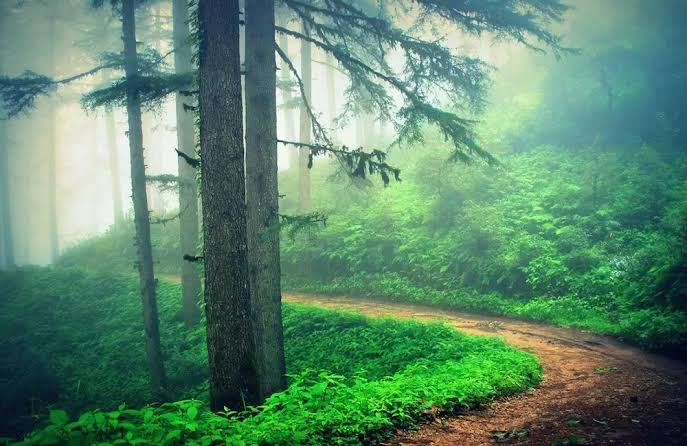 Kaudia Nature Trek
